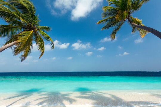 Beautiful beach background